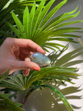 Load image into Gallery viewer, Labradorite