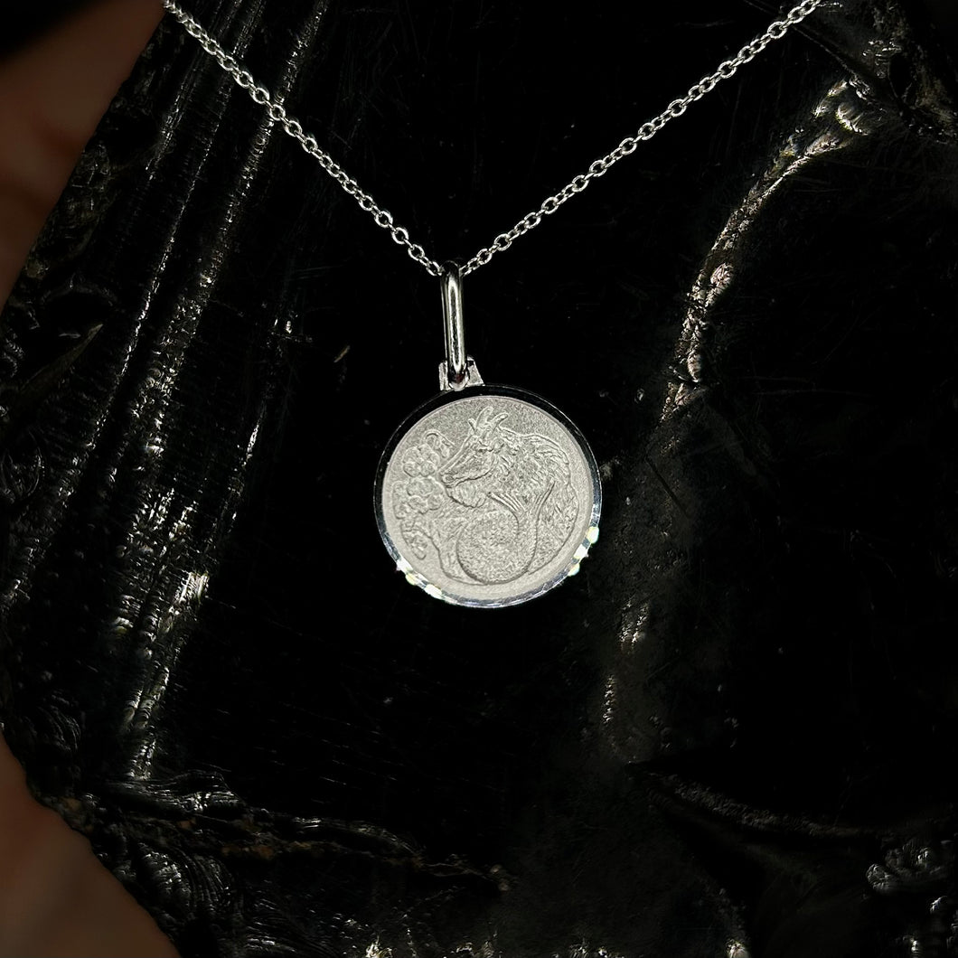 Capricorn Silver Zodiac Necklace