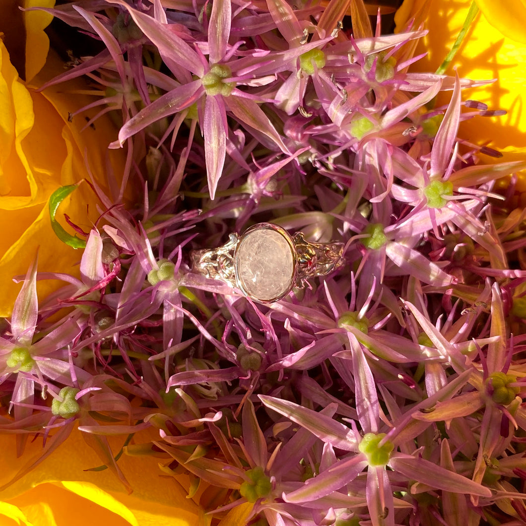 The Athena Ring- White Rainbow Moonstone Silver